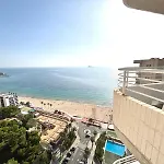Olivar Poniente *
